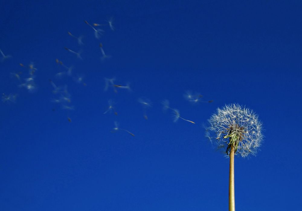 Photograph by Сергей Арямов