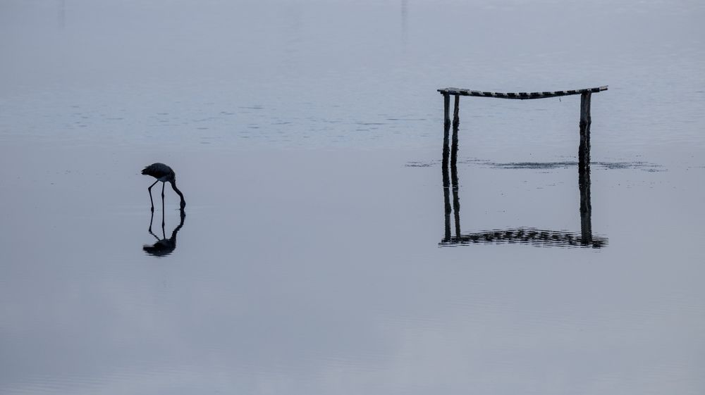 Photograph by ERDEM ARIF YIGIT