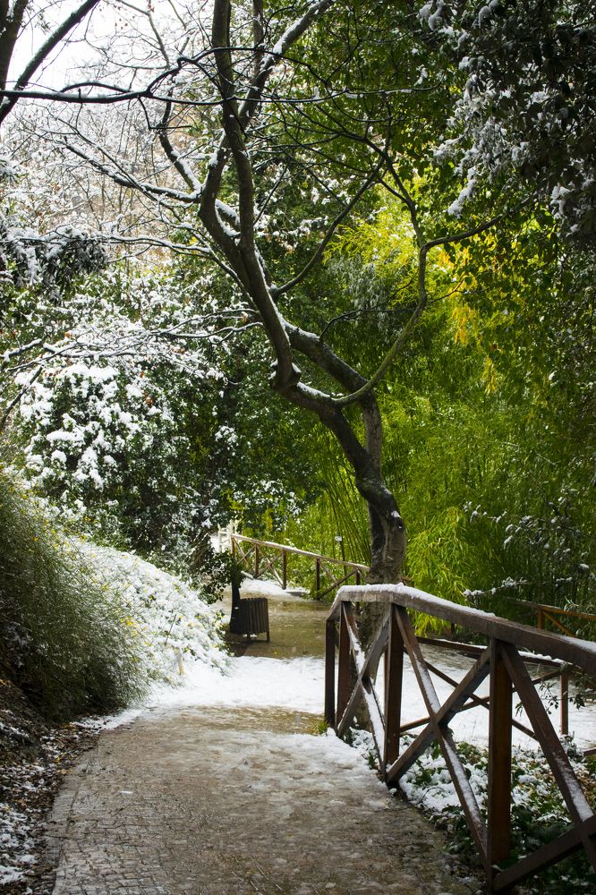 Фотография автора Маис Киракозов