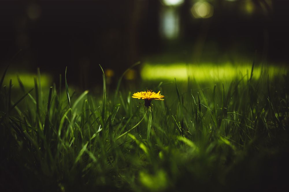 Photograph by Алексей Дукин