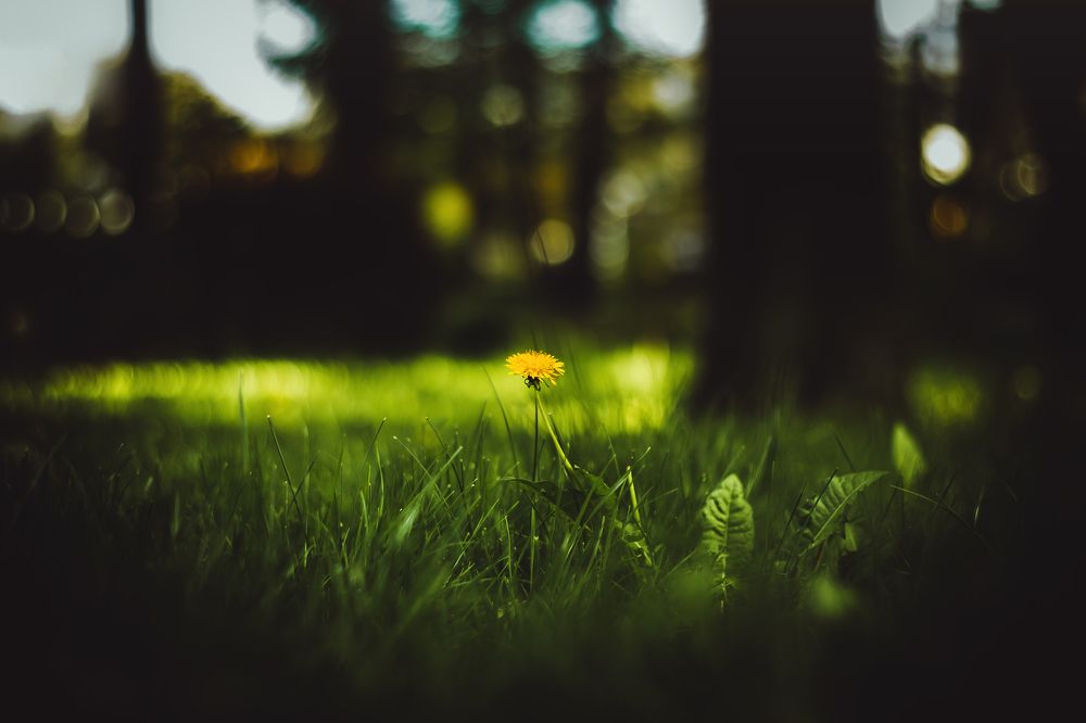 Photograph by Алексей Дукин