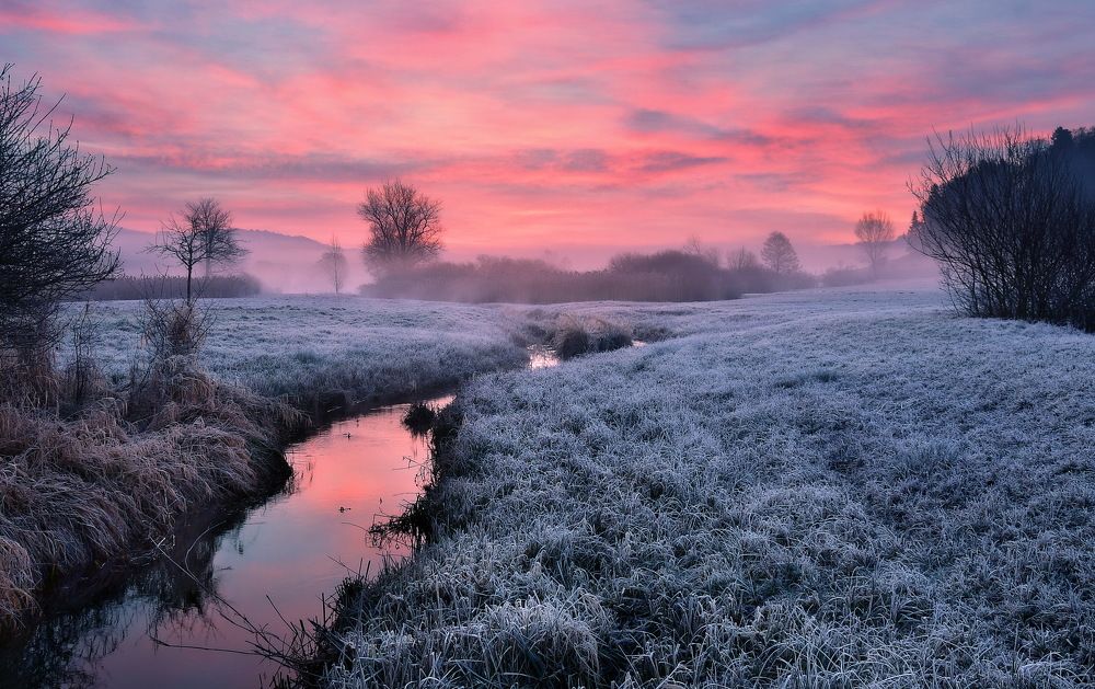 Photograph by Elena Wymann