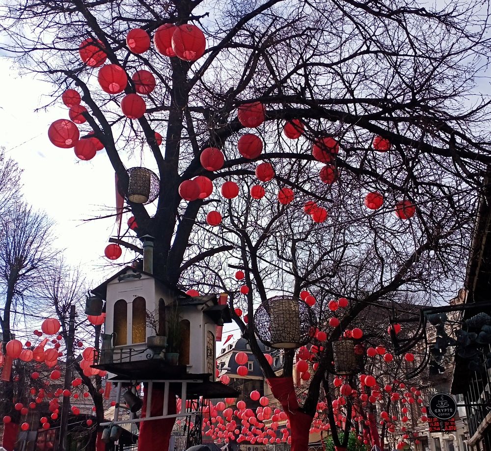 Photograph by Адамян Анна