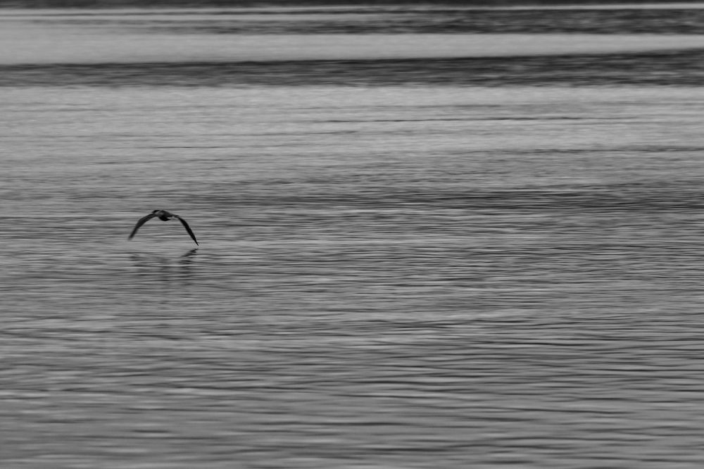 Photograph by Mauricio Bertoni