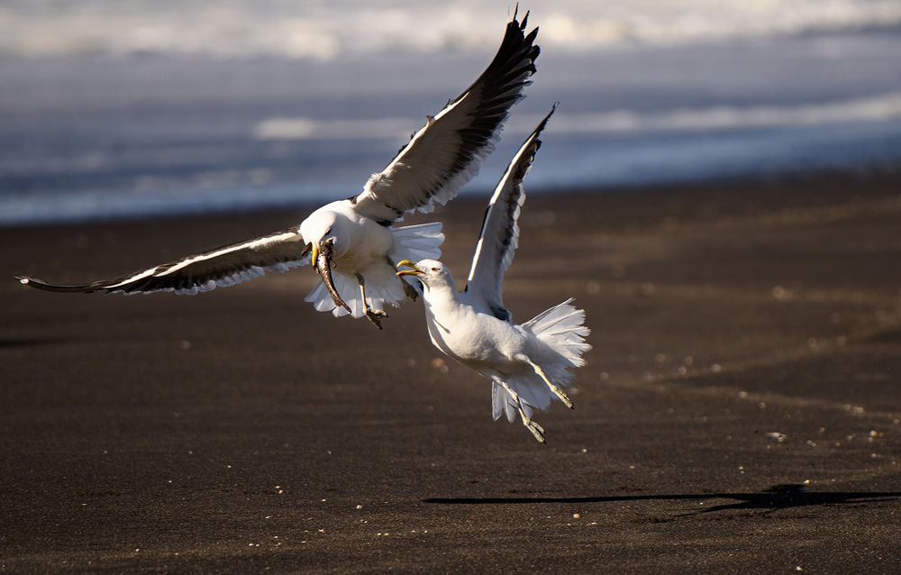 Photograph by Rodrigo Tapia Hernandez