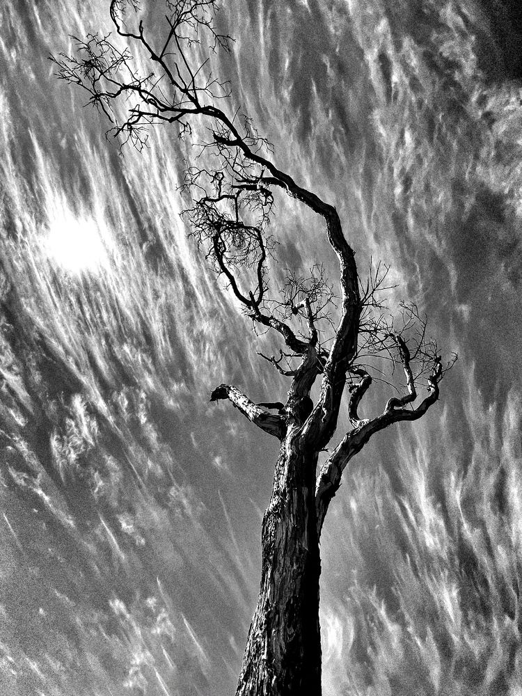 Photograph by Stephanie E’amato