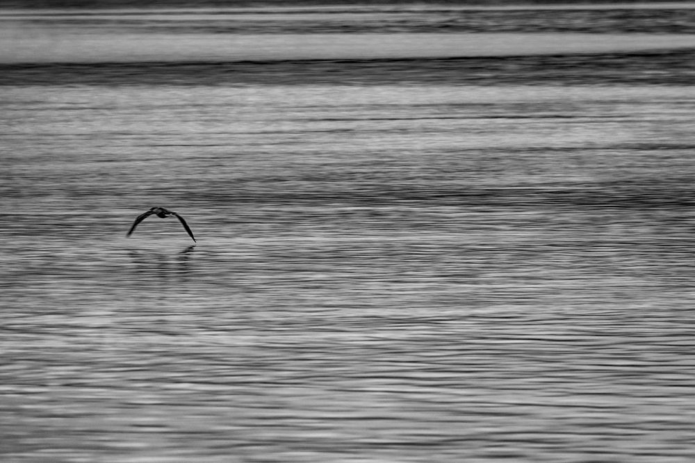 Photograph by Mauricio Bertoni