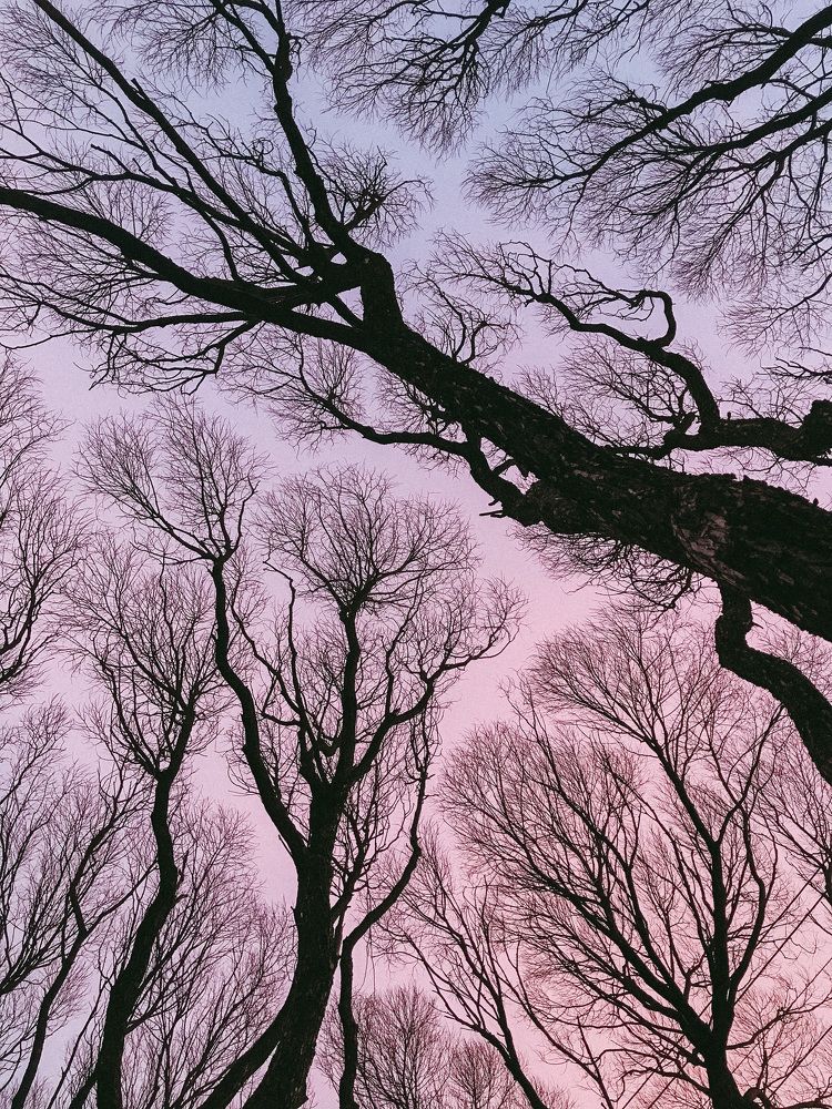 Photograph by Ника Киреева
