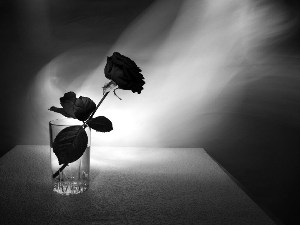 Photograph by Николай Рассохин