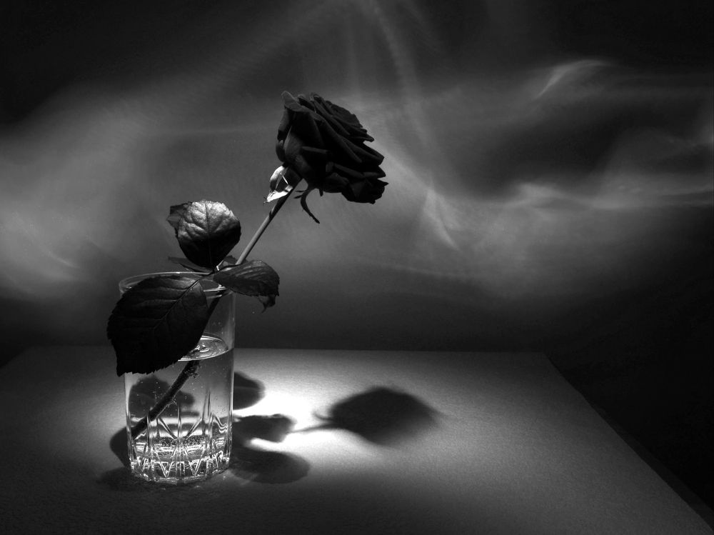 Photograph by Николай Рассохин