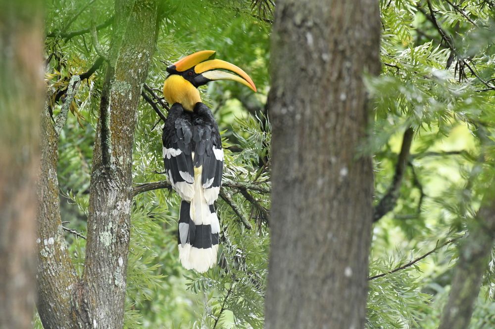 Photograph by Balaji Balaji