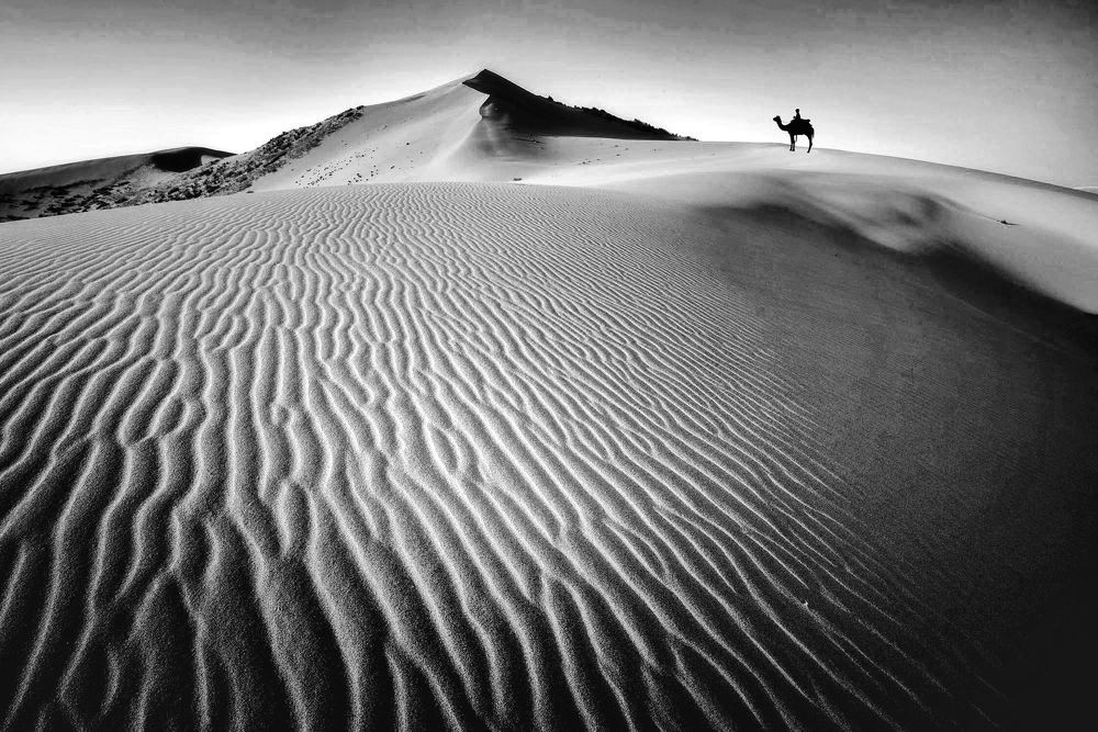 Photograph by Михаил Бове