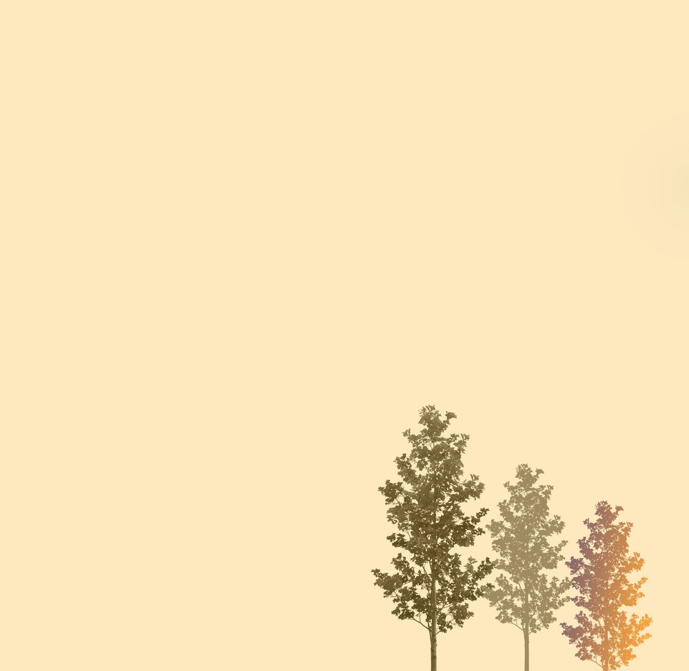 Фотография автора Михаил Бове