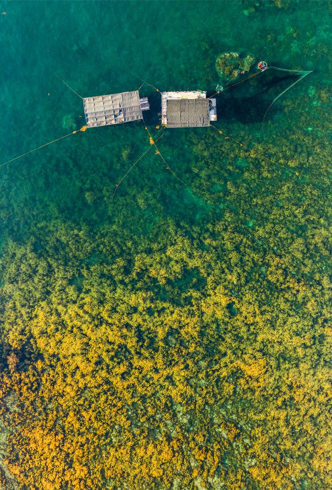 Photograph by TRONG DOI NGUYEN