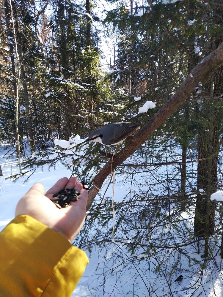 Photograph by Наталья Пирогова