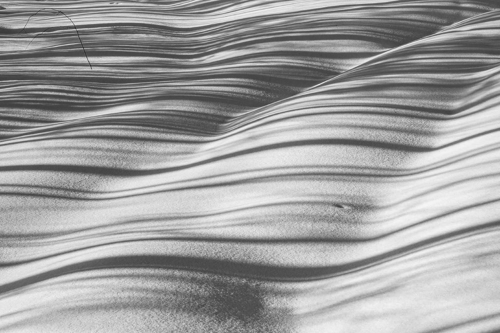 Photograph by Дмитрий Алексеев