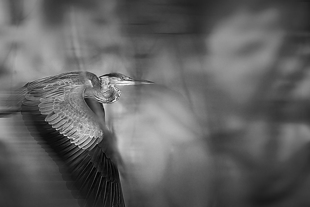 Фотография автора Vyacheslav Lozhkin