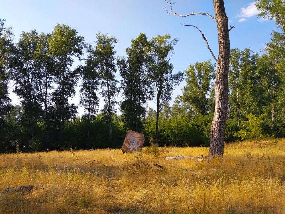 Photograph by Лариса Кузнецова