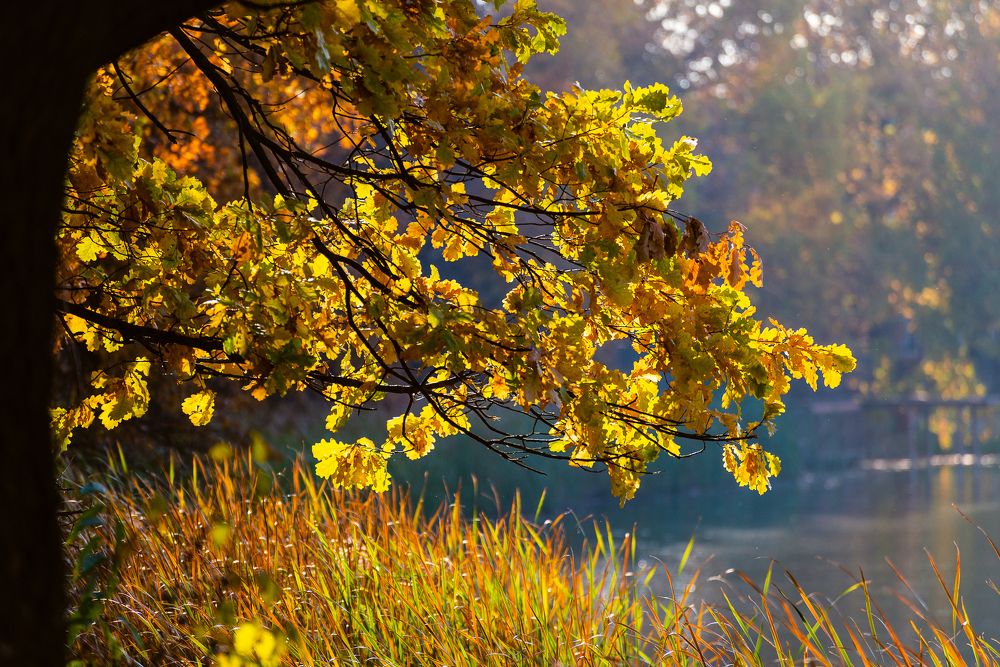 Photograph by Давыдова Гульгена