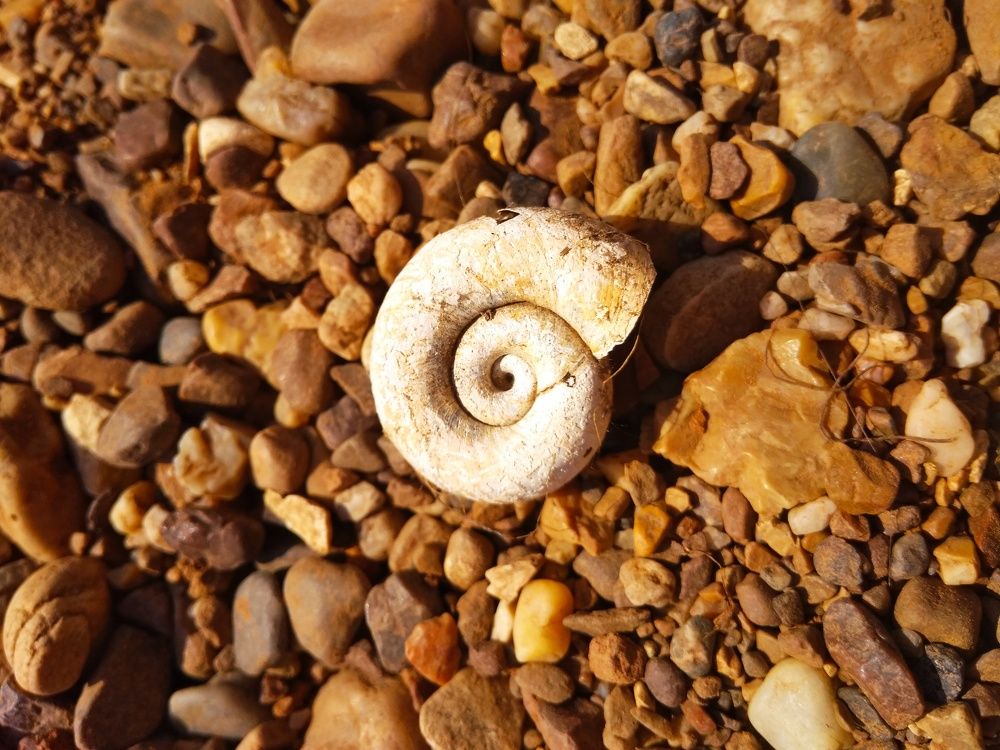 Photograph by Лариса Кузнецова