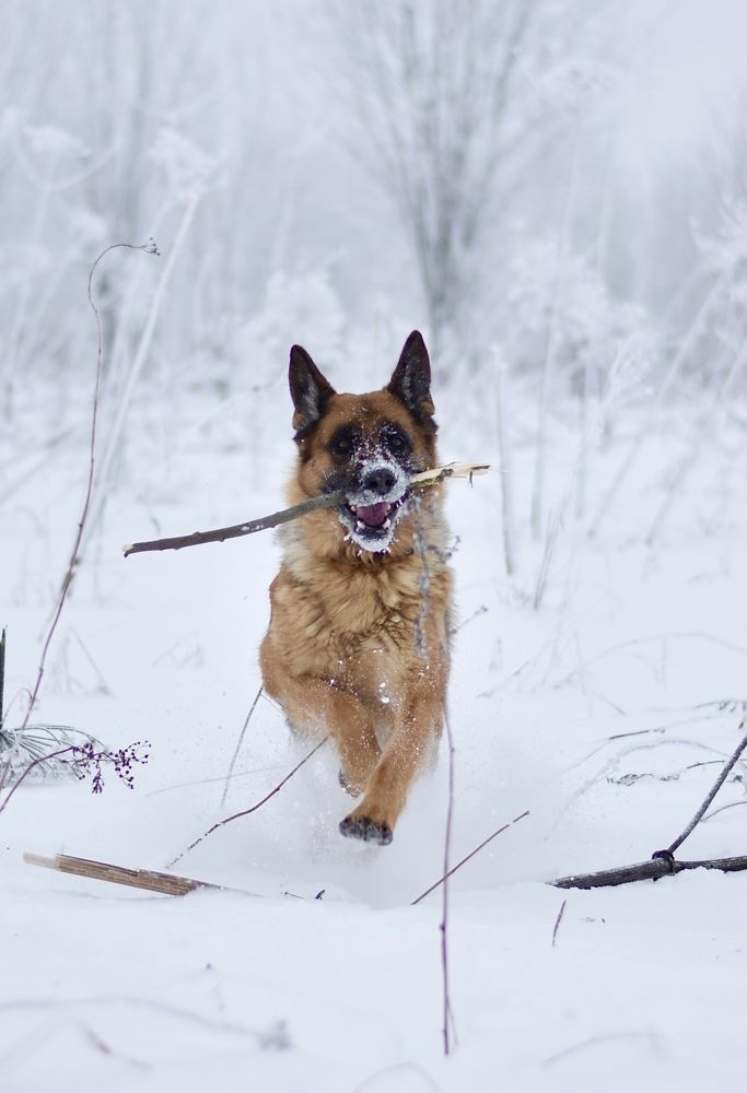 Photograph by Андрей Кротов