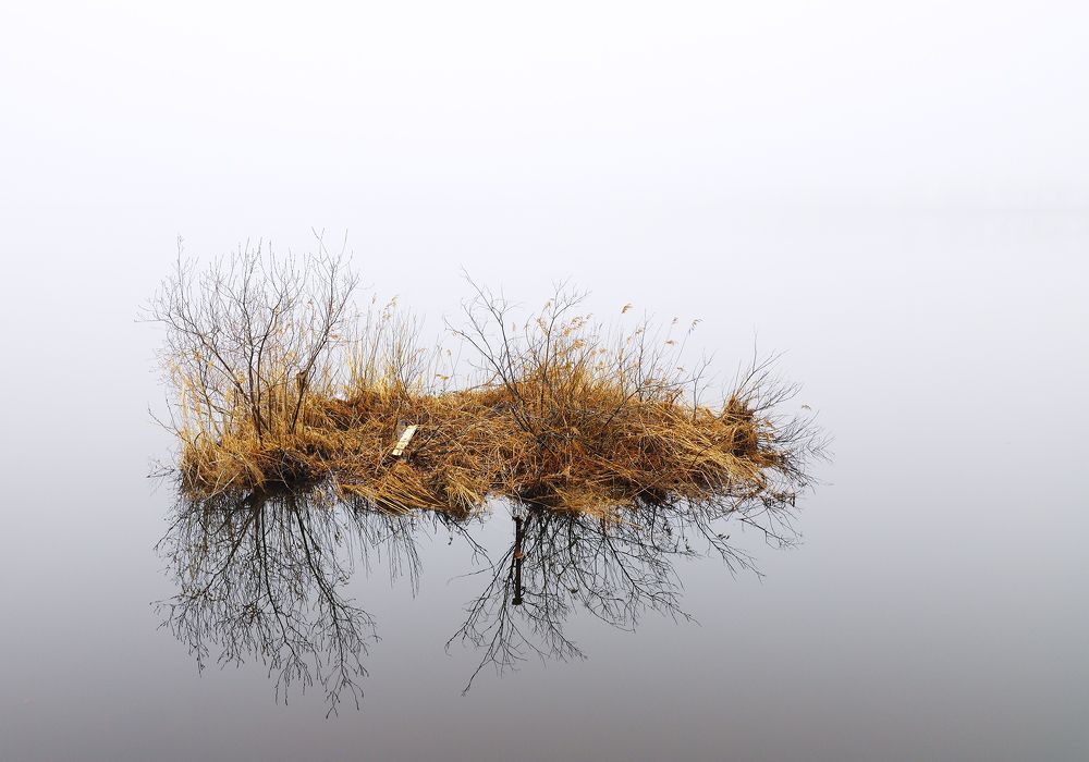 Photograph by Николай Ларионов