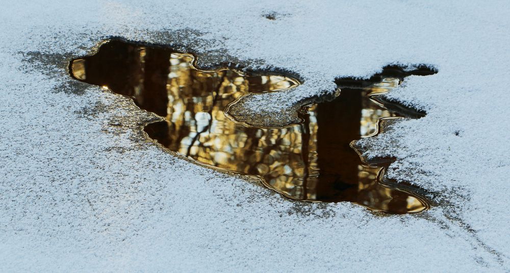 Photograph by Николай Ларионов