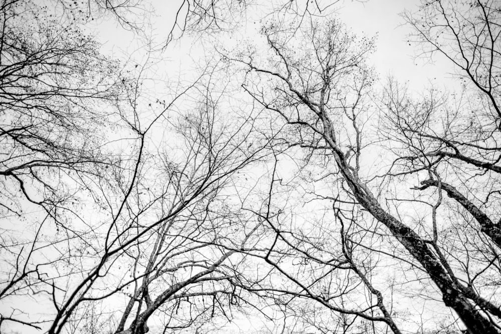 Photograph by Vanq Pavlova