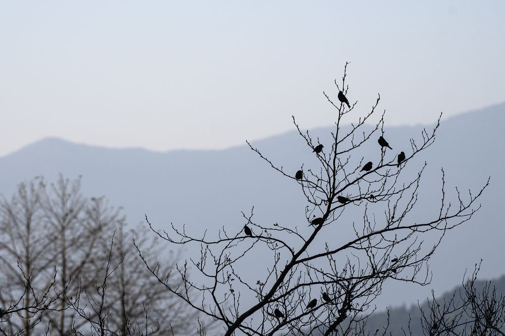 Photograph by Ritam Biswas