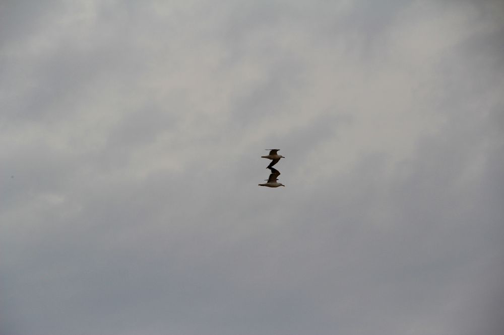 Photograph by Anna Perevozchikova