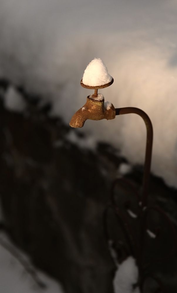 Photograph by Кочеткова Ирина