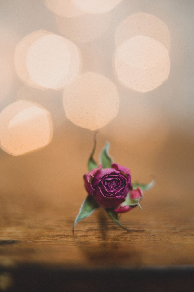 Photograph by Светлана Антипова