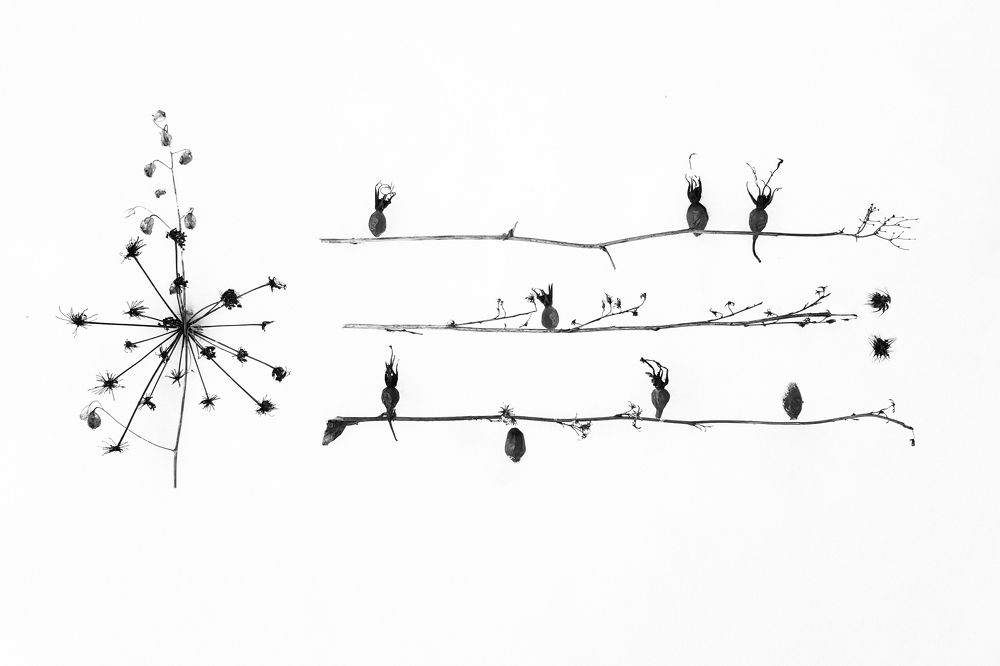 Photograph by Екатерина Лянгасова