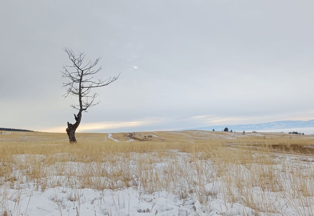 Photograph by Женя Евсеева