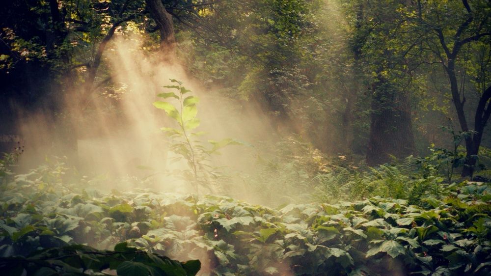 Photograph by Tomasz Klimek