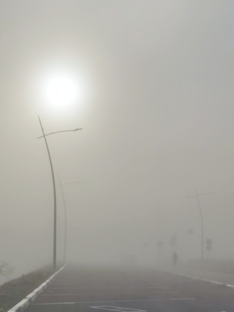 Photograph by Ирина Курицына