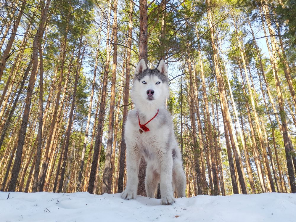 Фотография автора Мария Яропольская