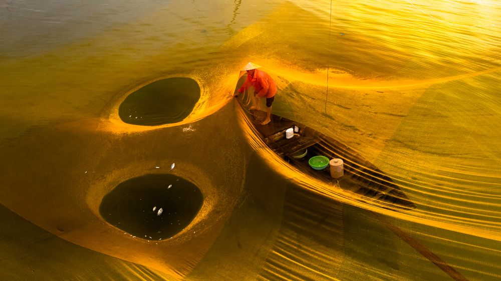 Fishing on Cua Dai river