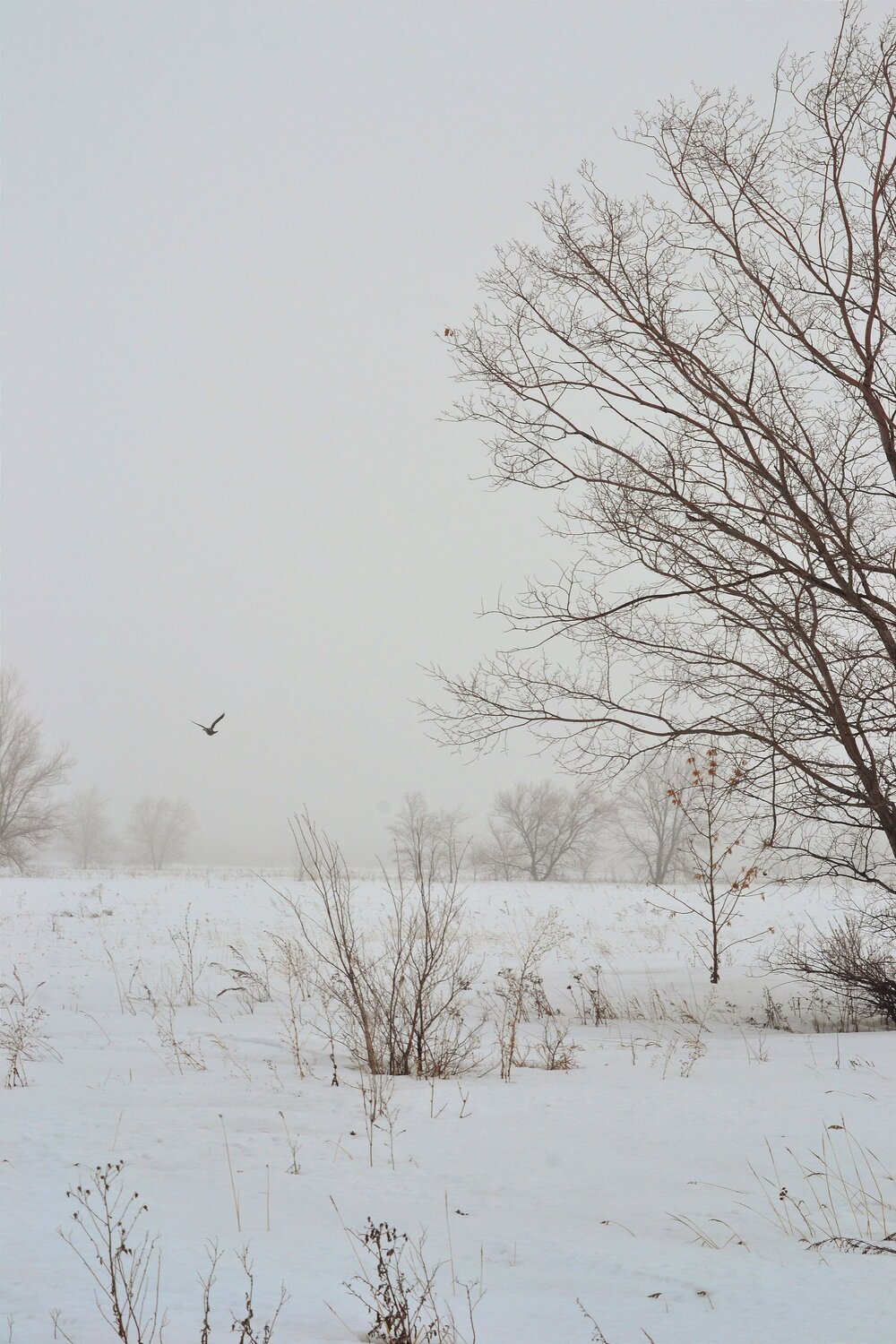 Photo #7440703