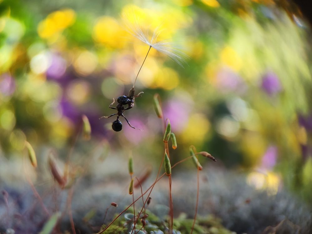 Photograph by FABIO SARTORI