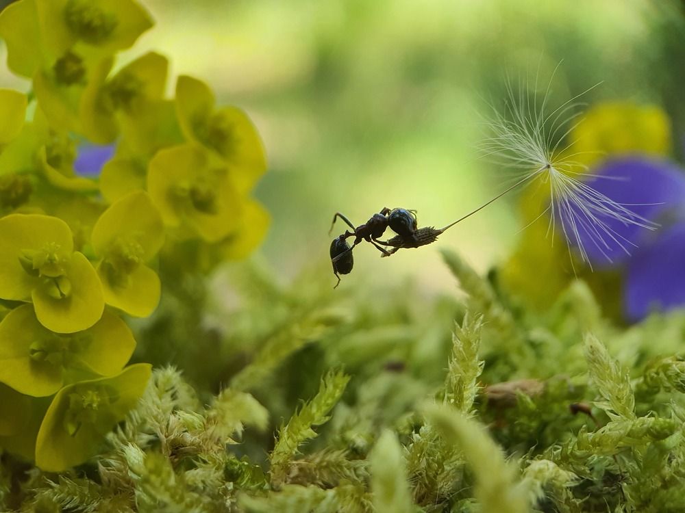 Photograph by FABIO SARTORI