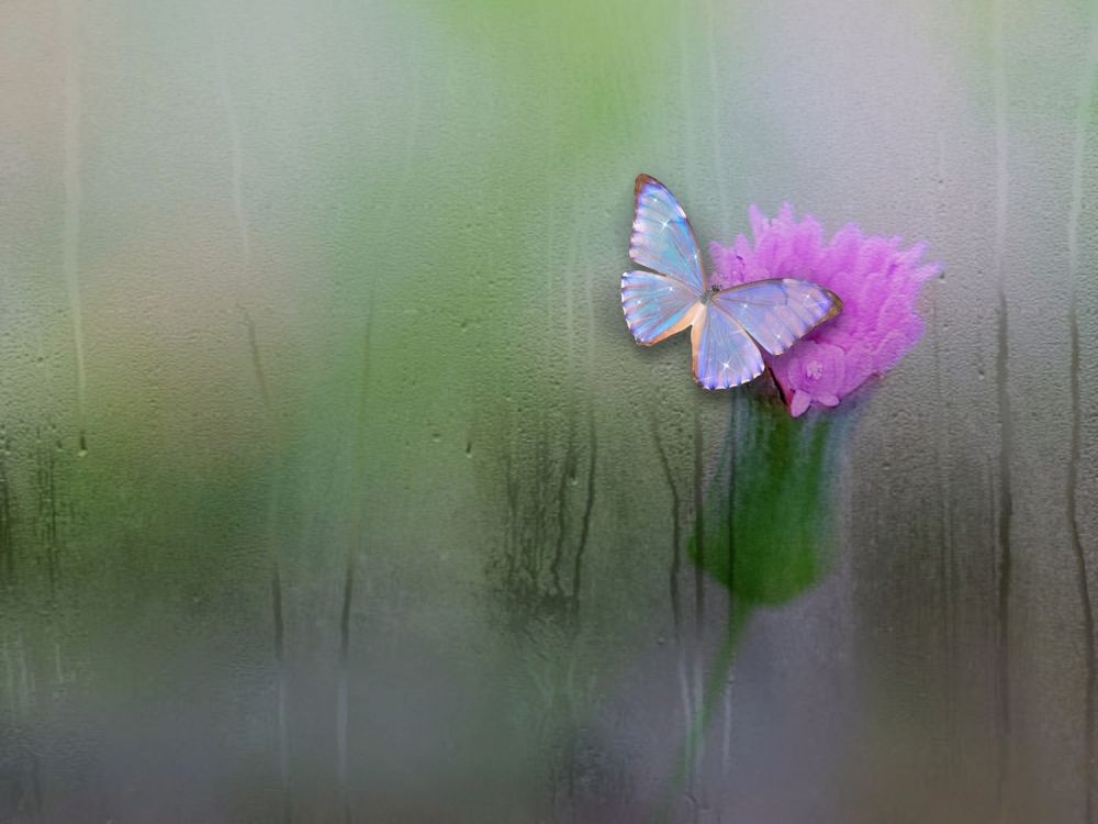 Photograph by Iin Fortunata Angelina