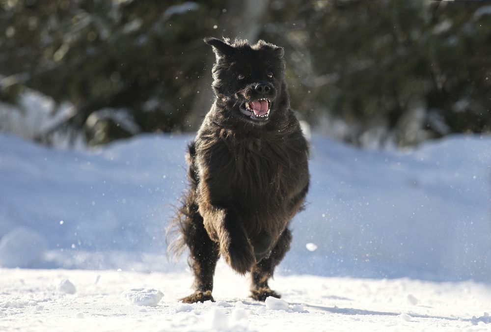 Photograph by Лидия Алексеева