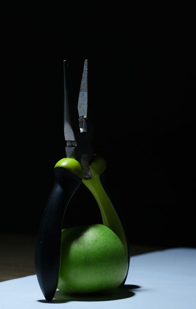 Фотография автора Елена