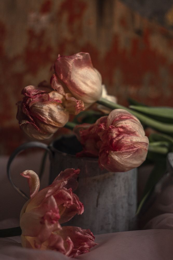 Photograph by Татьяна Конопацкая