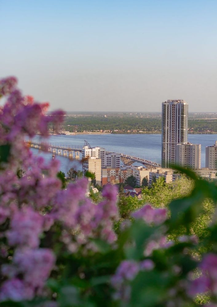 Photograph by Анастасия