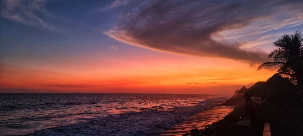 Photograph by Angelisa Gonzalez