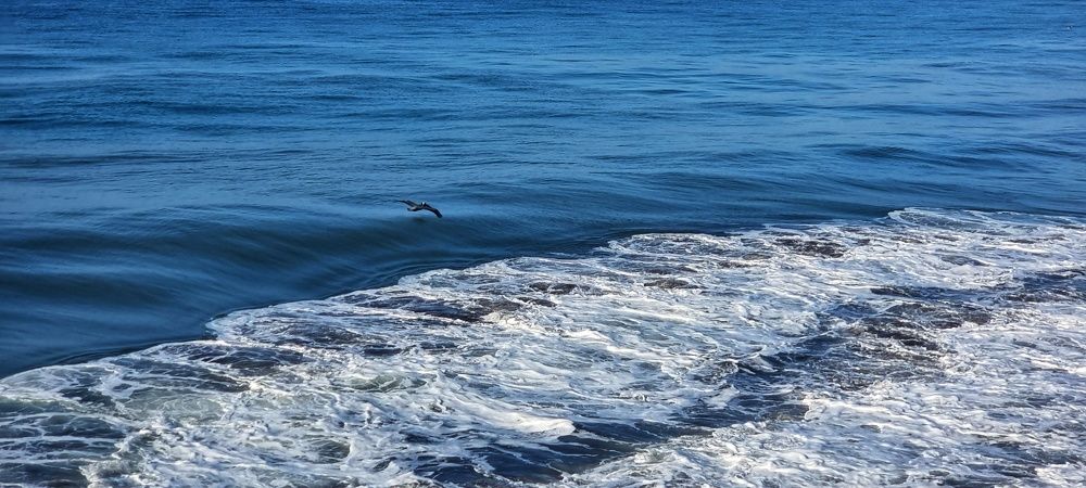 Photograph by Angelisa Gonzalez