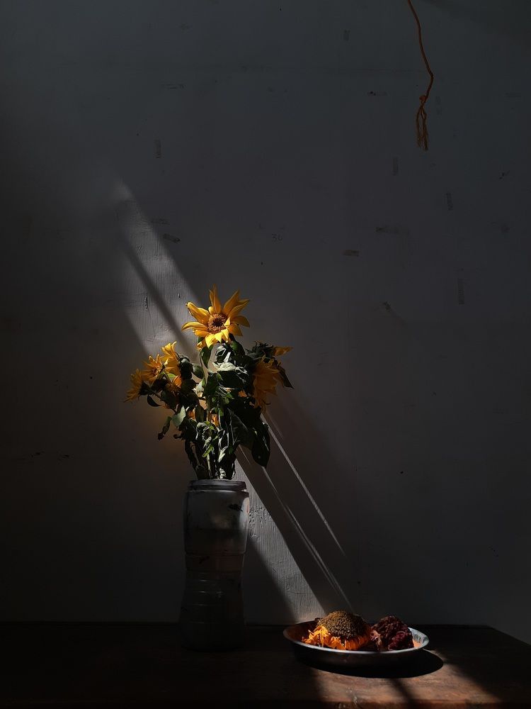 'Sun Flowers'
