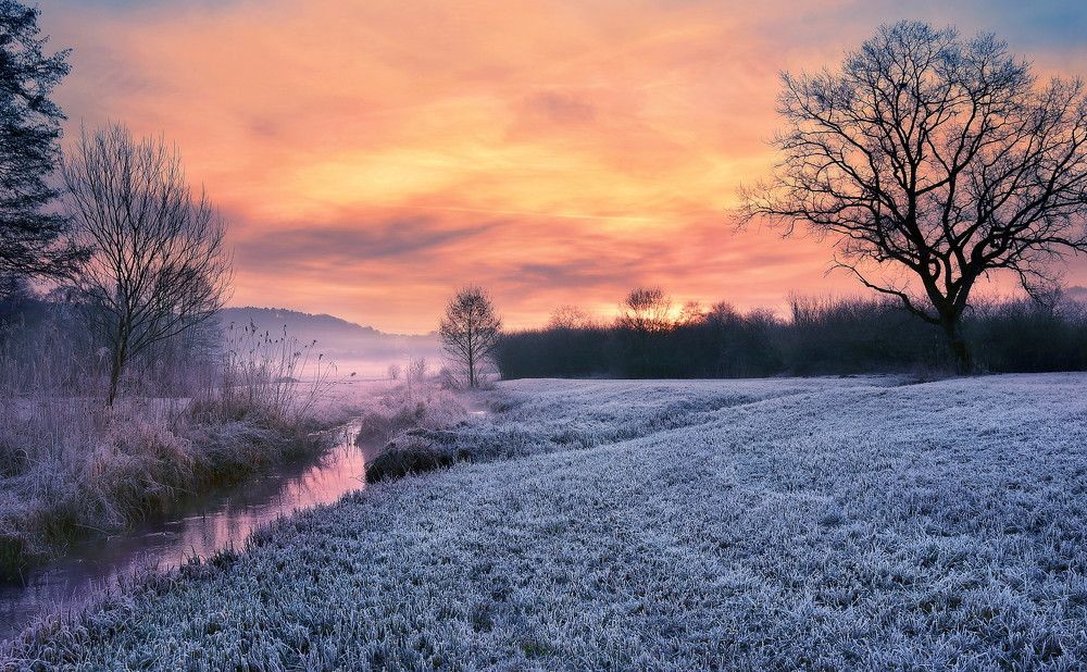 Photograph by Elena Wymann